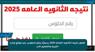 ظهور نتيجة الثانوية العامة 2025 رسميًا برقم الجلوس عبر موقع وزارة التربية والتعليم الآن